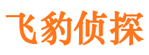 临河市婚姻调查